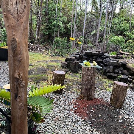 Exotic Garden Cottage At Amazing Volcano Fissure 芒廷维尤 外观 照片