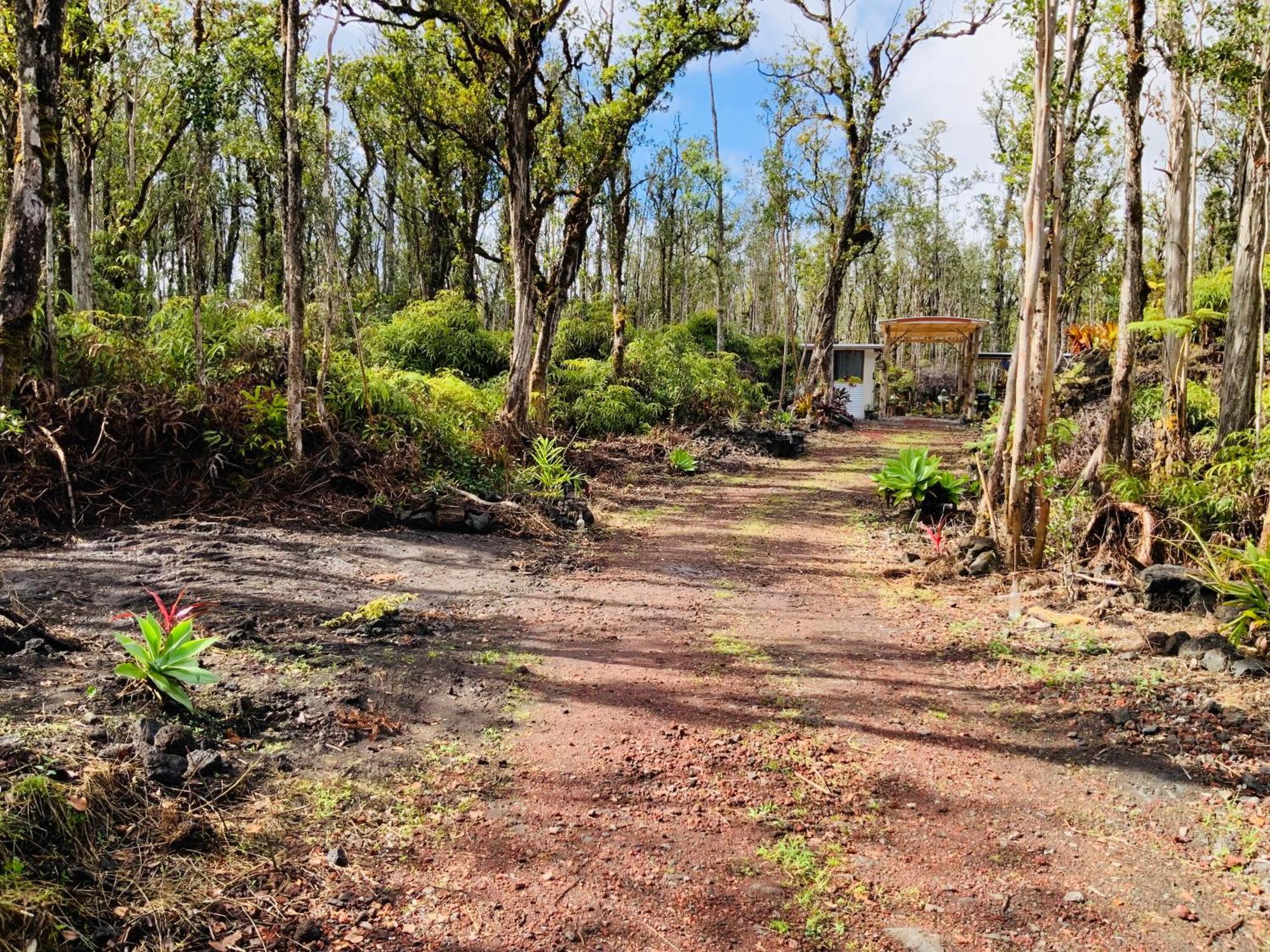 Exotic Garden Cottage At Amazing Volcano Fissure 芒廷维尤 外观 照片