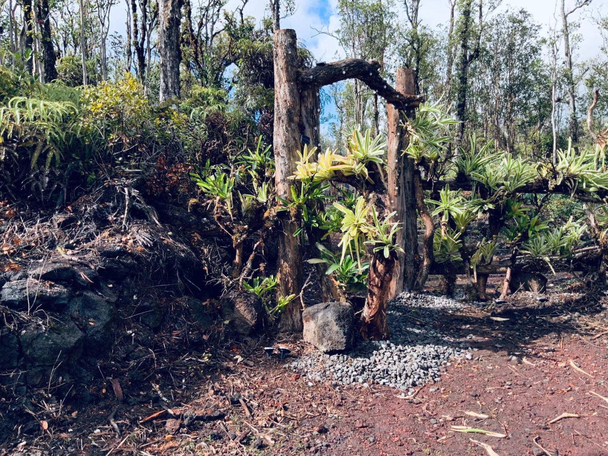 Exotic Garden Cottage At Amazing Volcano Fissure 芒廷维尤 外观 照片