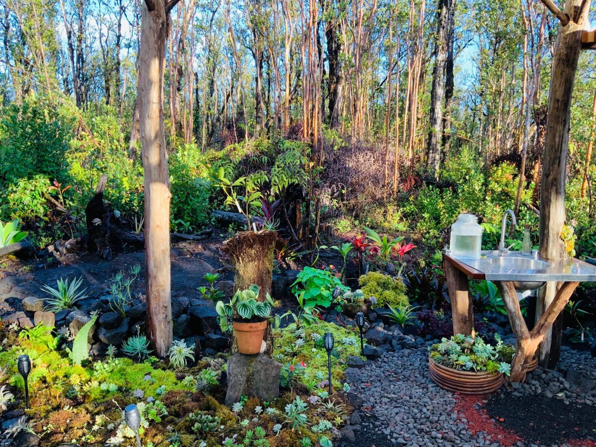 Exotic Garden Cottage At Amazing Volcano Fissure 芒廷维尤 外观 照片