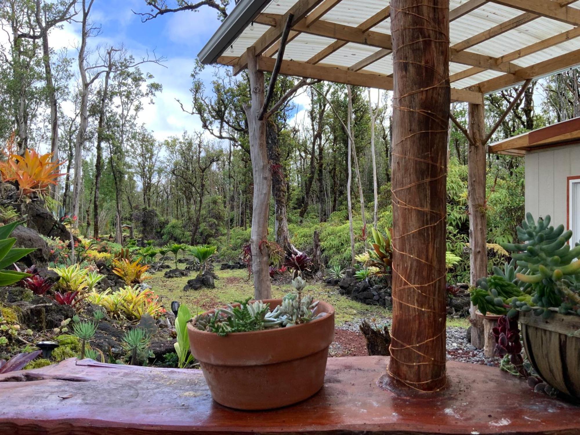 Exotic Garden Cottage At Amazing Volcano Fissure 芒廷维尤 外观 照片
