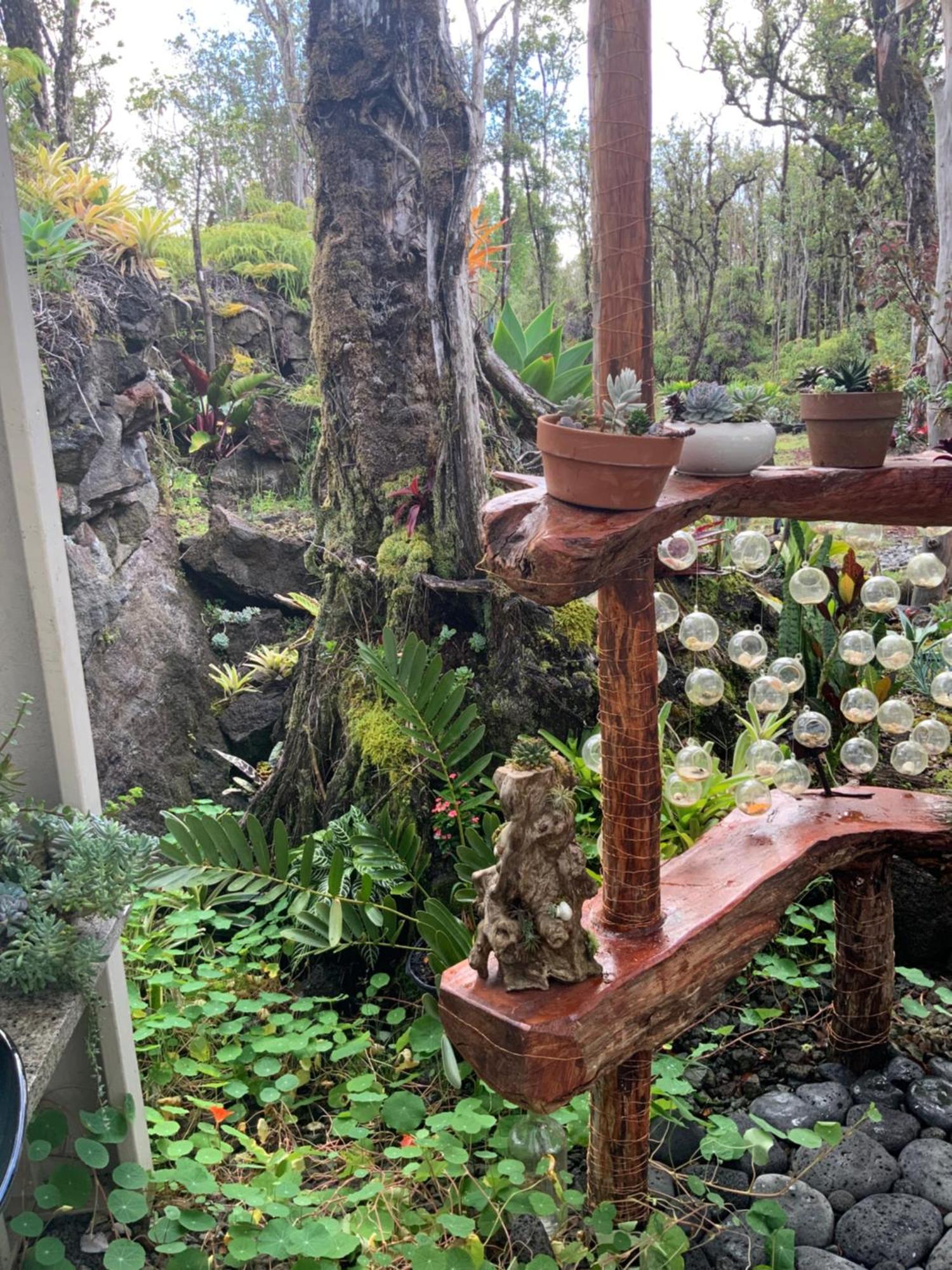 Exotic Garden Cottage At Amazing Volcano Fissure 芒廷维尤 外观 照片