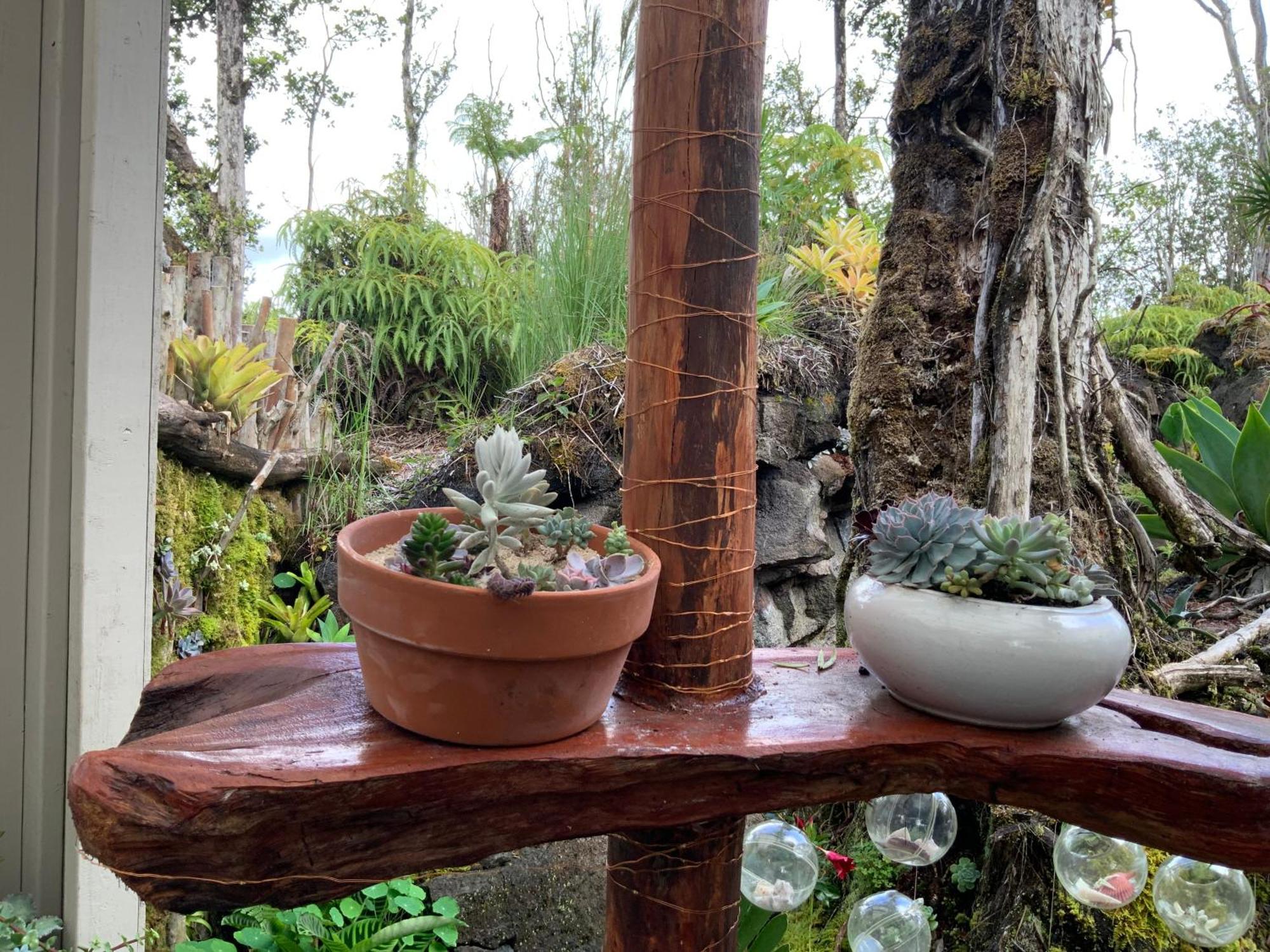 Exotic Garden Cottage At Amazing Volcano Fissure 芒廷维尤 外观 照片