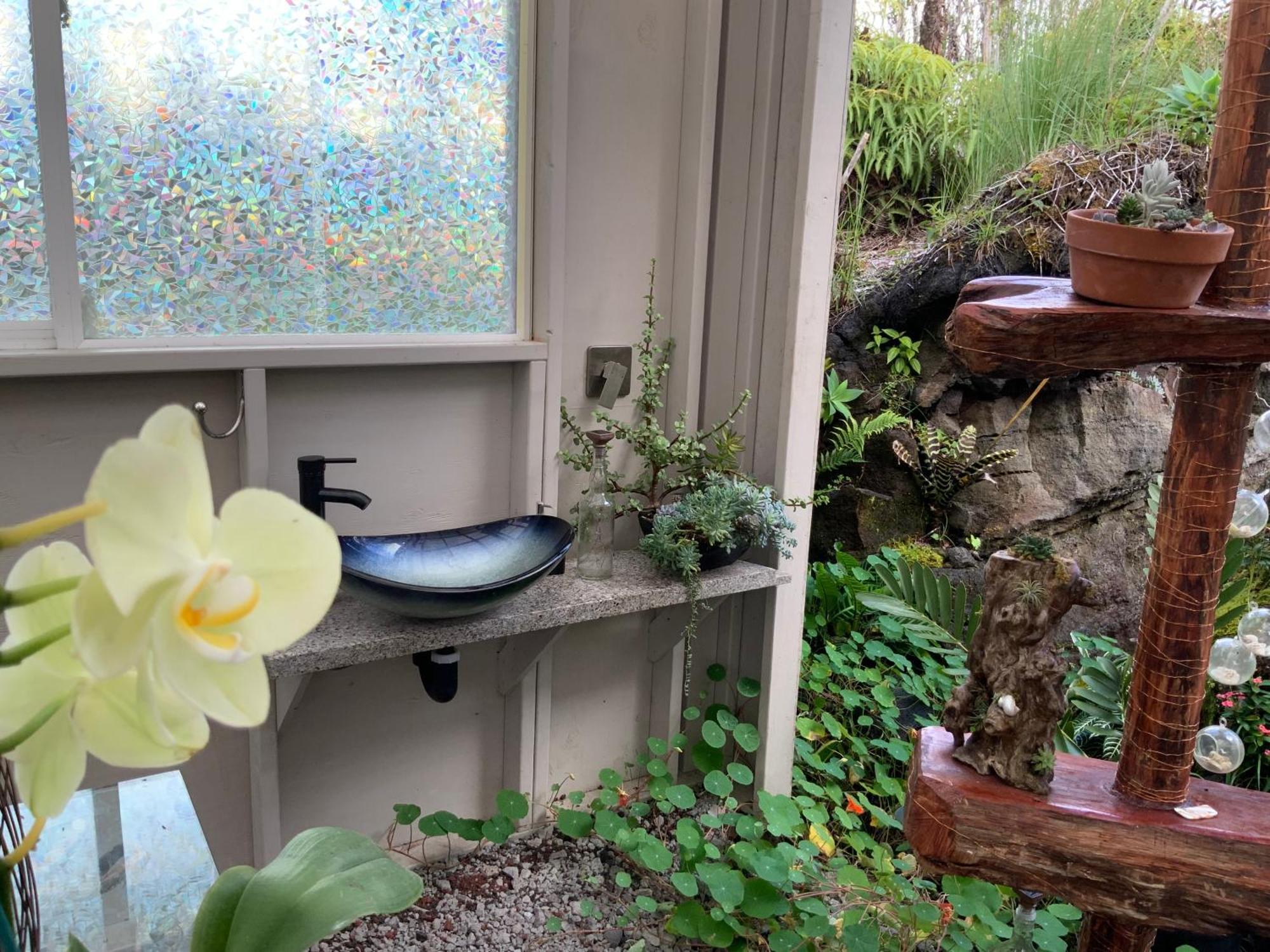 Exotic Garden Cottage At Amazing Volcano Fissure 芒廷维尤 外观 照片