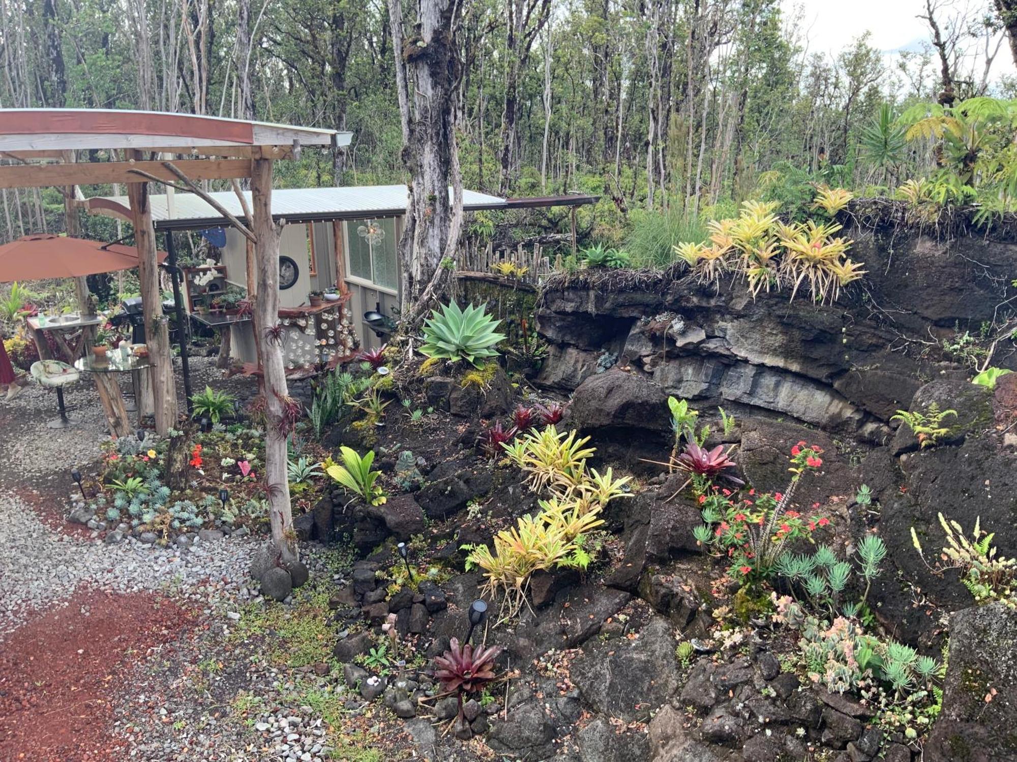 Exotic Garden Cottage At Amazing Volcano Fissure 芒廷维尤 外观 照片