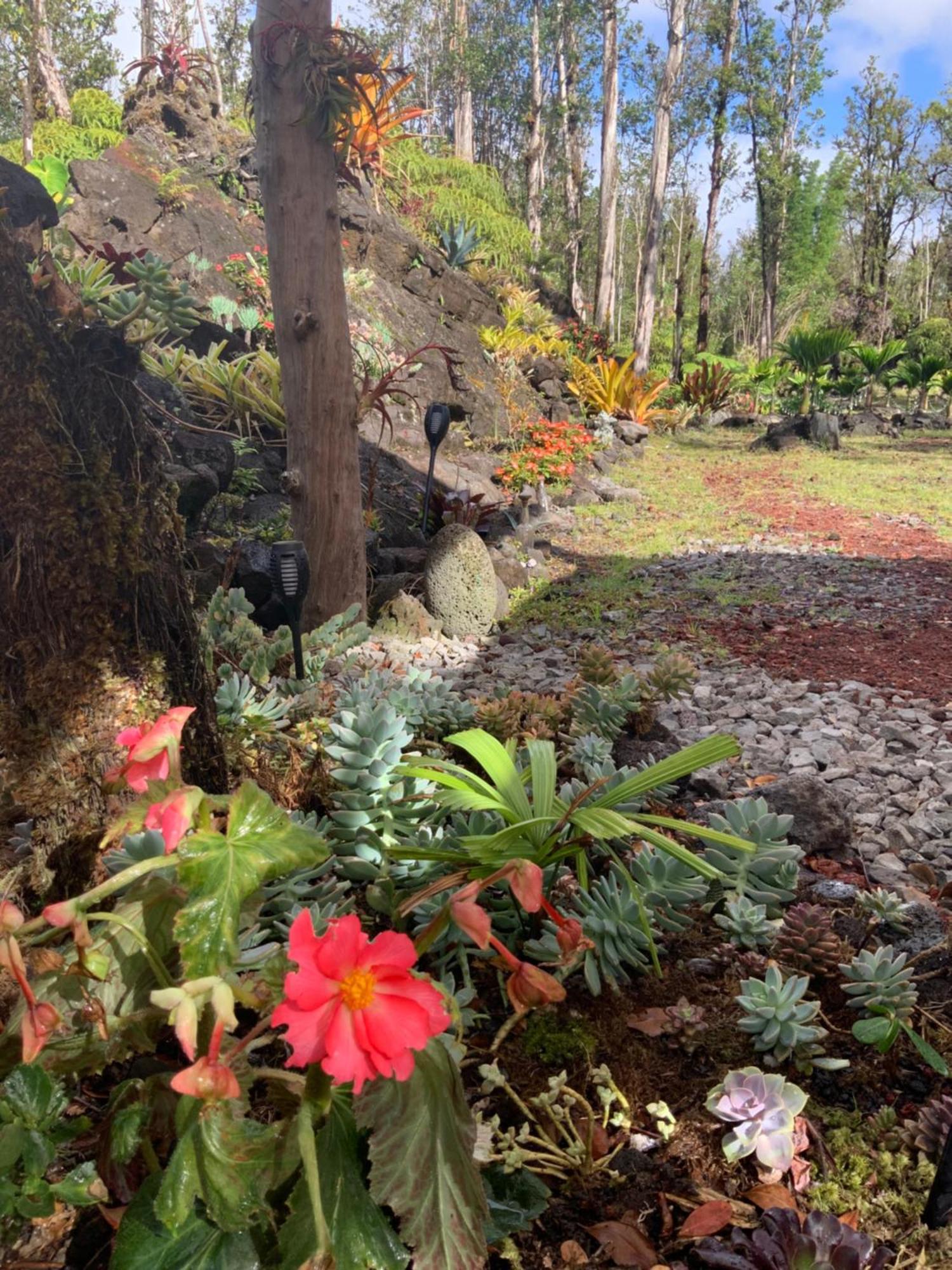 Exotic Garden Cottage At Amazing Volcano Fissure 芒廷维尤 外观 照片
