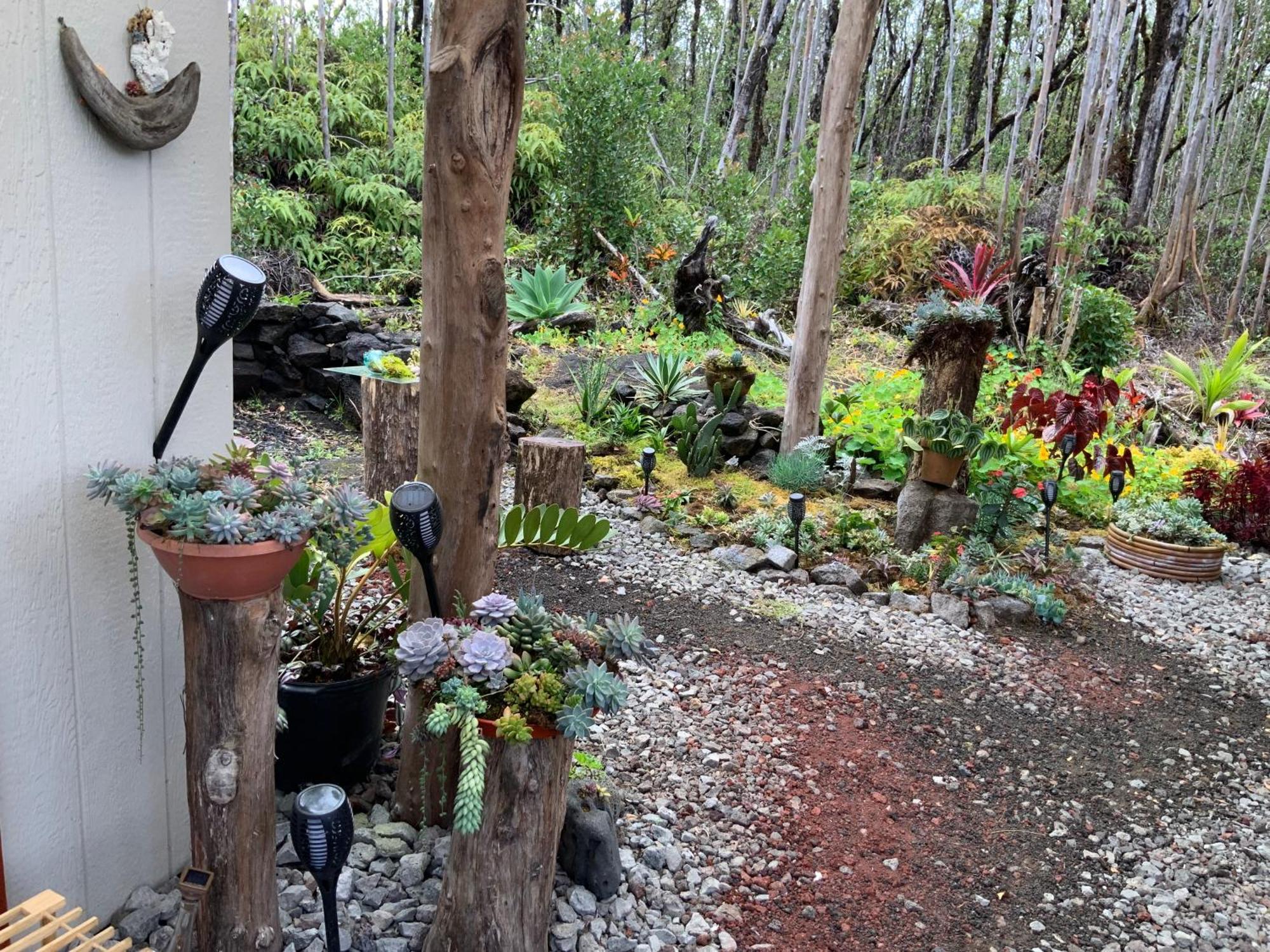 Exotic Garden Cottage At Amazing Volcano Fissure 芒廷维尤 外观 照片