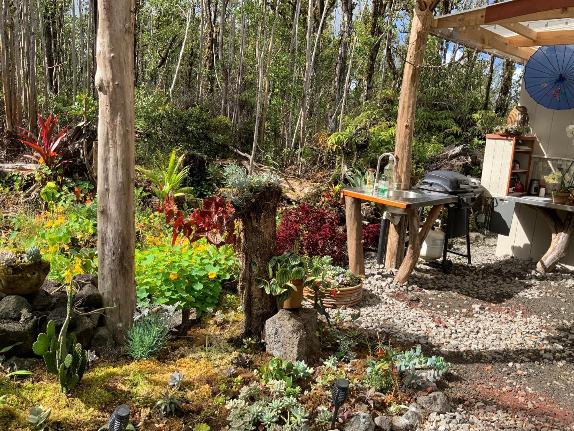 Exotic Garden Cottage At Amazing Volcano Fissure 芒廷维尤 外观 照片