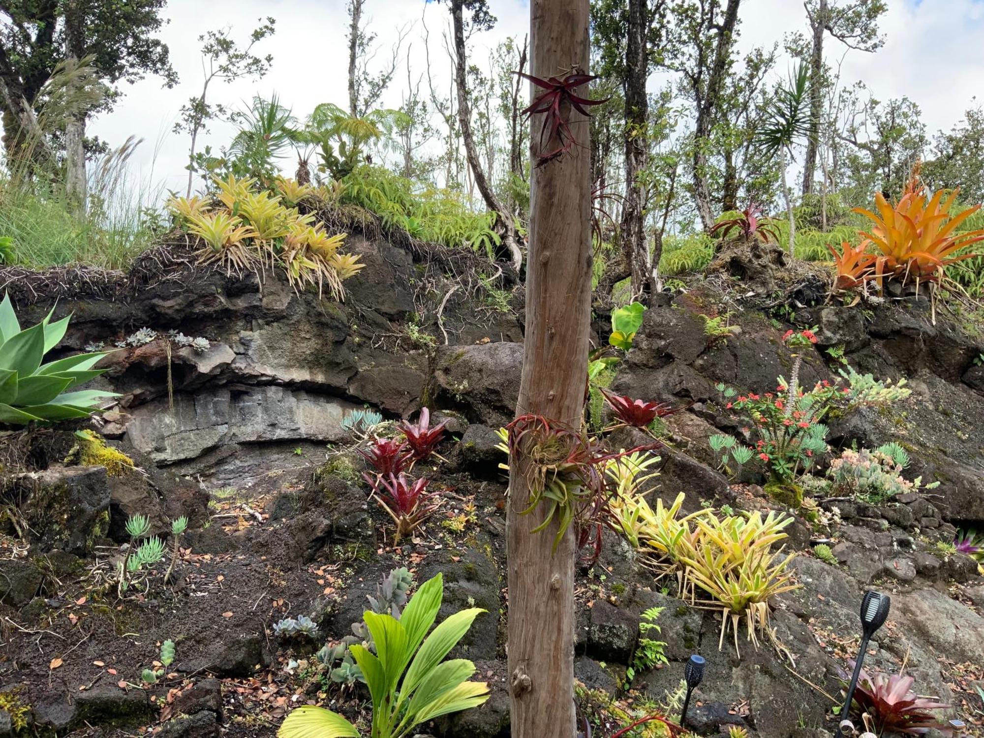 Exotic Garden Cottage At Amazing Volcano Fissure 芒廷维尤 外观 照片