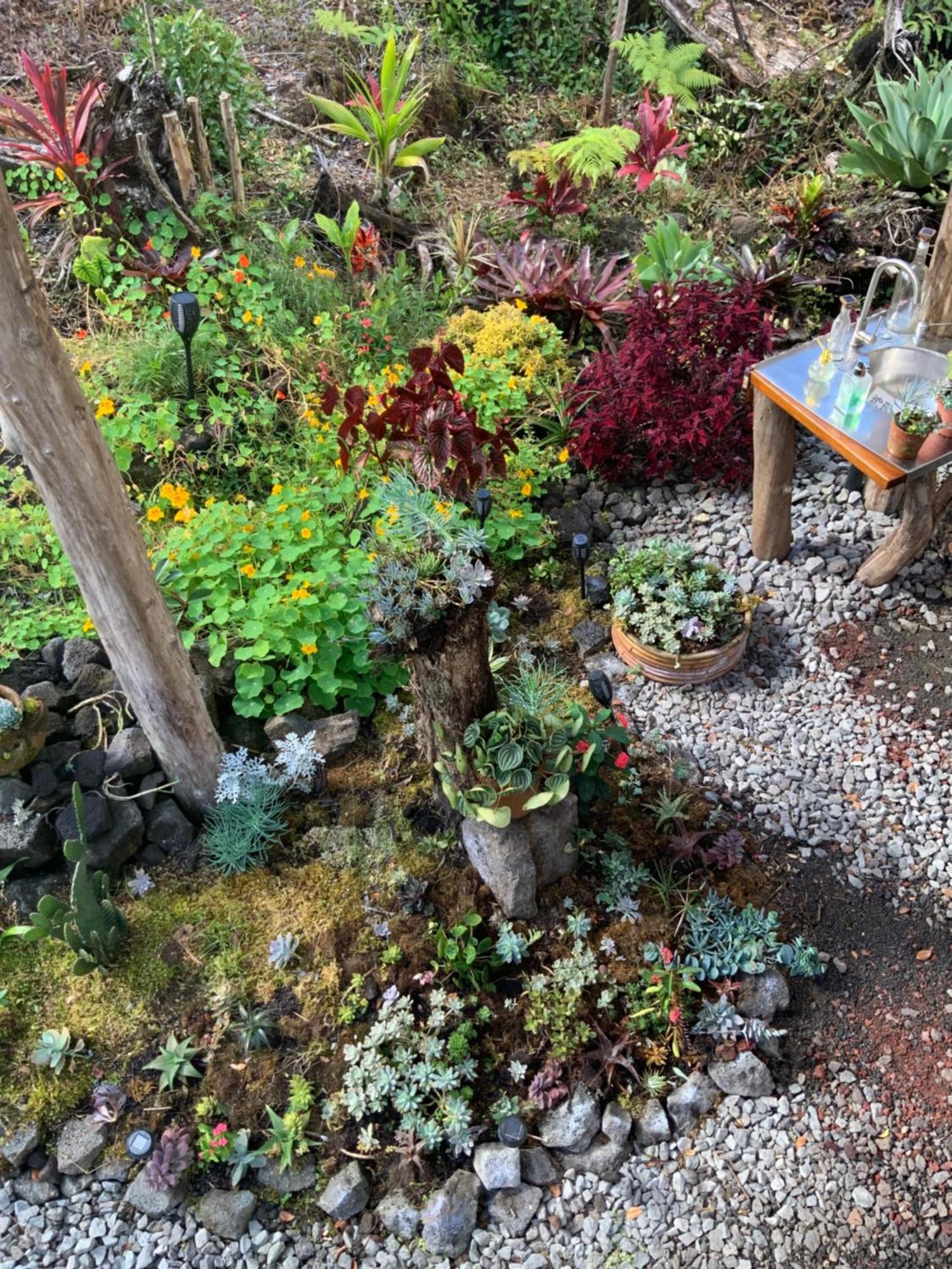 Exotic Garden Cottage At Amazing Volcano Fissure 芒廷维尤 外观 照片