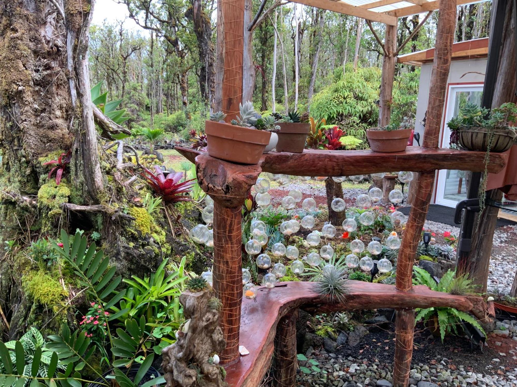 Exotic Garden Cottage At Amazing Volcano Fissure 芒廷维尤 外观 照片