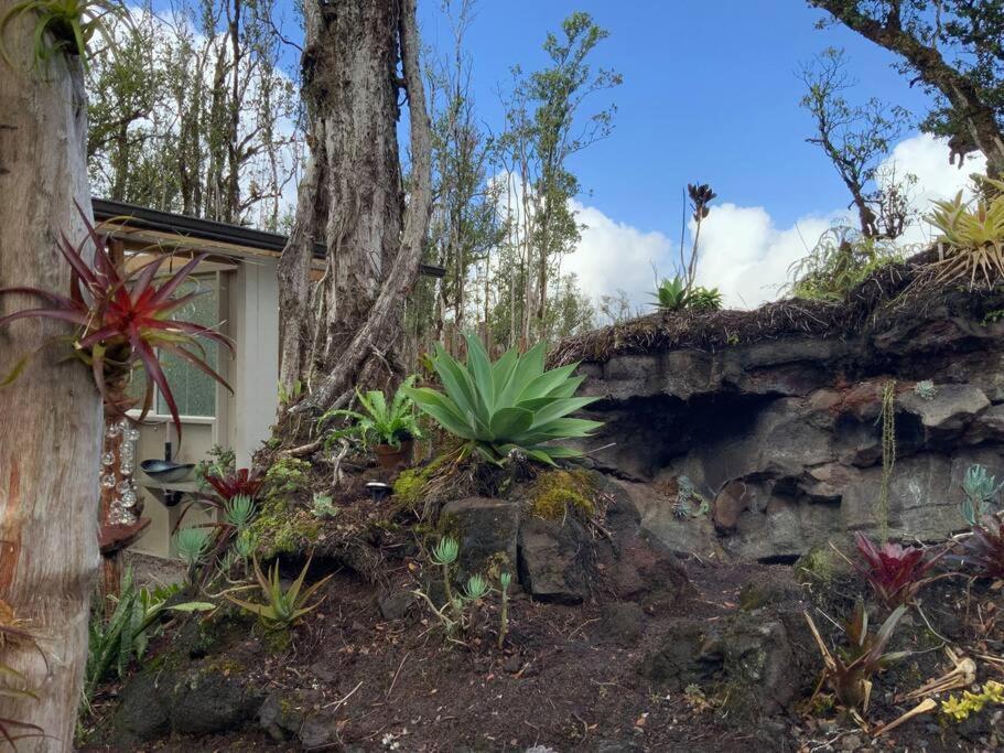 Exotic Garden Cottage At Amazing Volcano Fissure 芒廷维尤 外观 照片