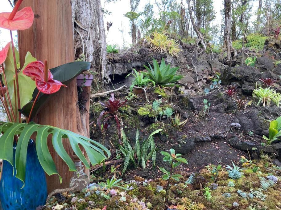 Exotic Garden Cottage At Amazing Volcano Fissure 芒廷维尤 外观 照片