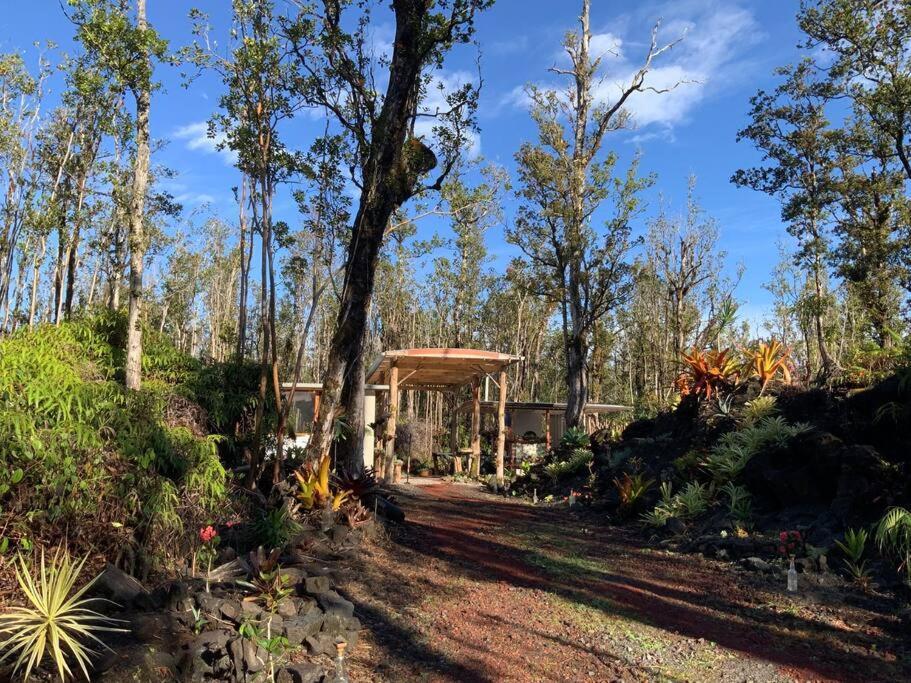 Exotic Garden Cottage At Amazing Volcano Fissure 芒廷维尤 外观 照片