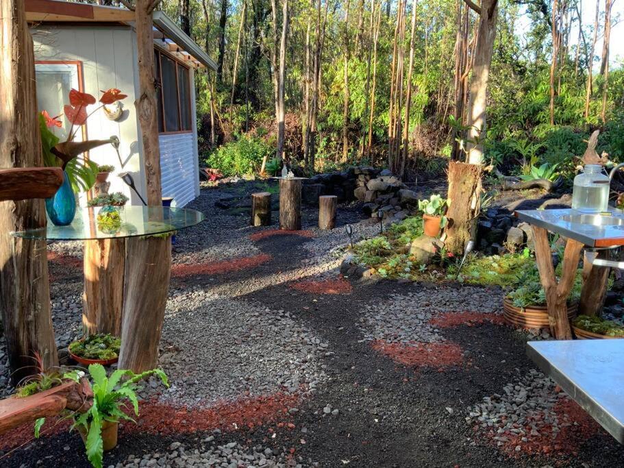 Exotic Garden Cottage At Amazing Volcano Fissure 芒廷维尤 外观 照片