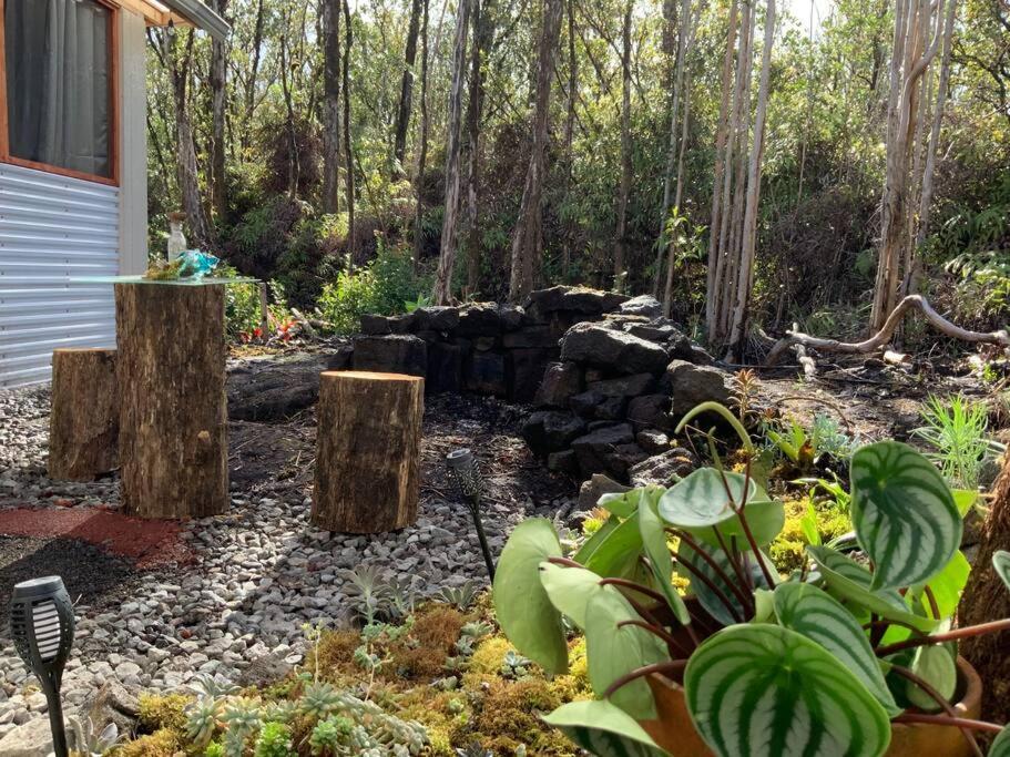 Exotic Garden Cottage At Amazing Volcano Fissure 芒廷维尤 外观 照片