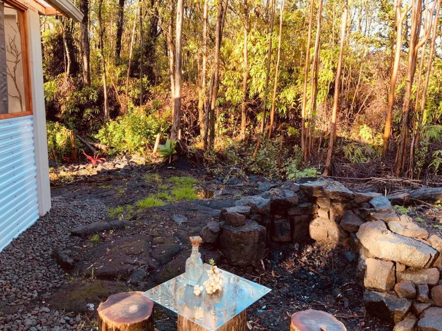Exotic Garden Cottage At Amazing Volcano Fissure 芒廷维尤 外观 照片