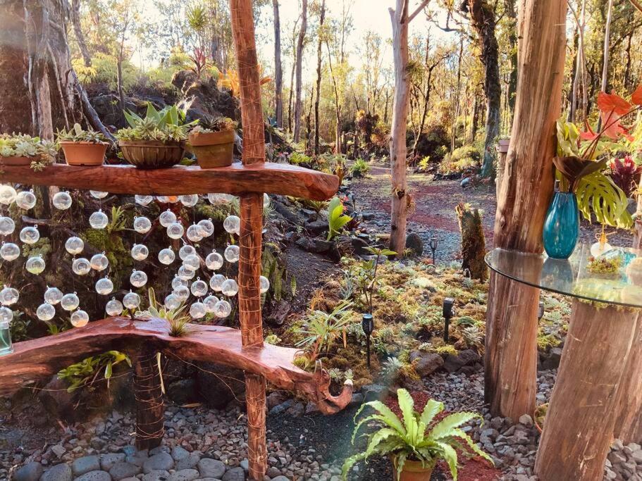 Exotic Garden Cottage At Amazing Volcano Fissure 芒廷维尤 外观 照片