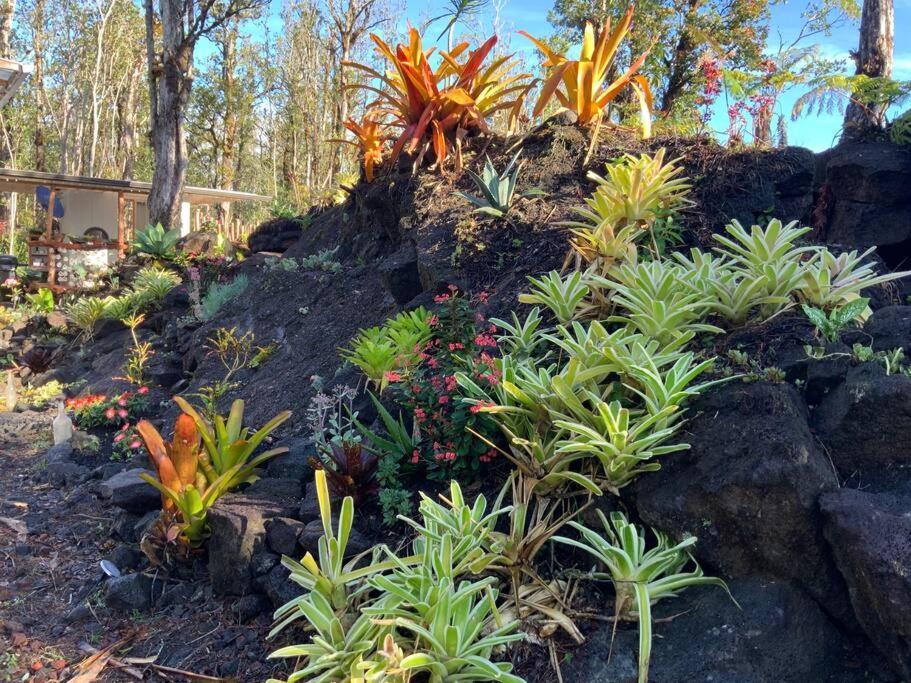 Exotic Garden Cottage At Amazing Volcano Fissure 芒廷维尤 外观 照片