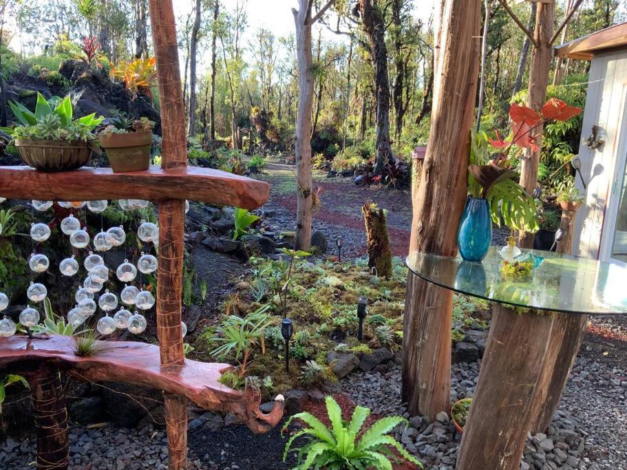 Exotic Garden Cottage At Amazing Volcano Fissure 芒廷维尤 外观 照片