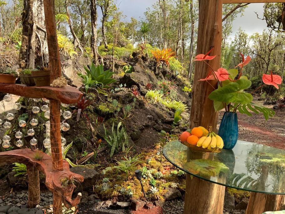 Exotic Garden Cottage At Amazing Volcano Fissure 芒廷维尤 外观 照片